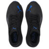 Aviator ProFoam Sky „Black Victoria Blue”
