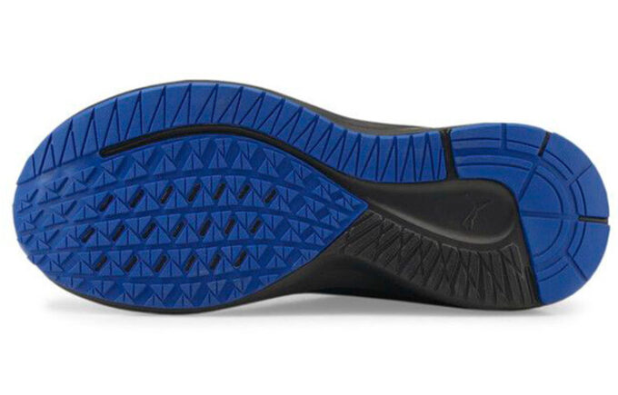 Aviator ProFoam Sky „Black Victoria Blue”
