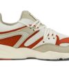 Blaze Of Glory „Vaporous Grey Warm Chestnut”