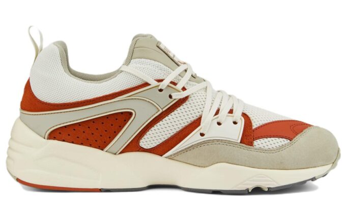 Blaze Of Glory „Vaporous Grey Warm Chestnut”