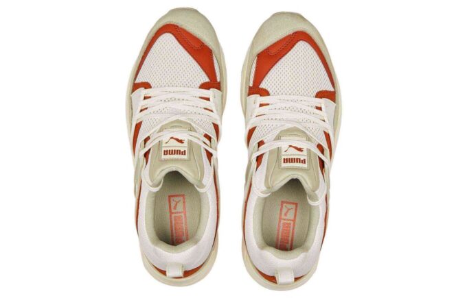 Blaze Of Glory „Vaporous Grey Warm Chestnut”