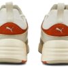 Blaze Of Glory „Vaporous Grey Warm Chestnut”