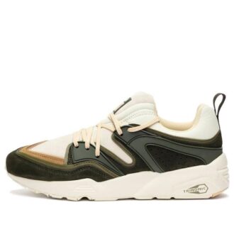 Blaze of Glory x Sneakersnstuff „Winter Moss”