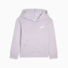 Bluza z kapturem Basics Little Kids