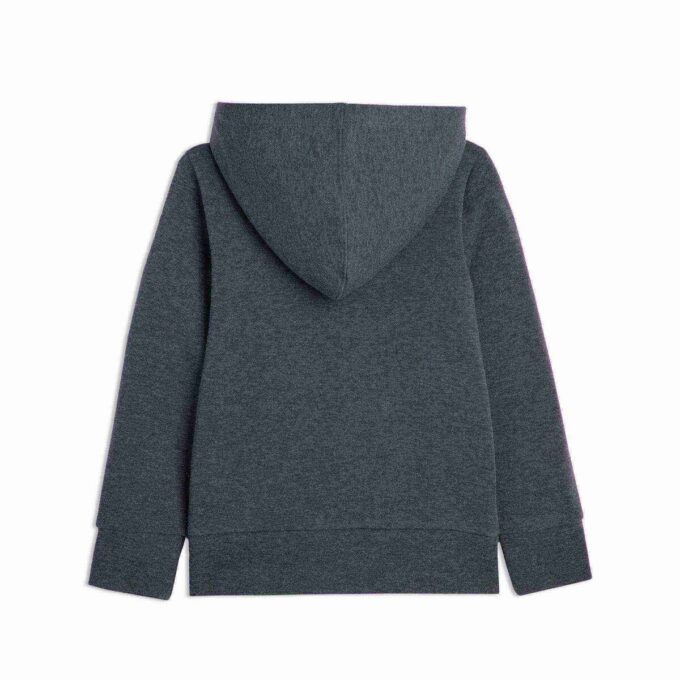 Bluza z kapturem Basics Little Kids