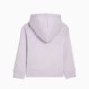 Bluza z kapturem Basics Little Kids