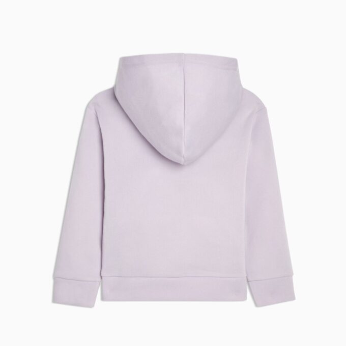 Bluza z kapturem Basics Little Kids
