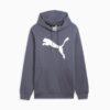 Bluza z kapturem dla mężczyzn z logo Big Cat