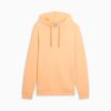 Bluza z kapturem Elevated Essentials Men