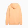 Bluza z kapturem Elevated Essentials Men