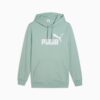 Bluza z kapturem Essentials Men Bluza z kapturem Essentials Men