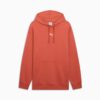 Bluza z kapturem Essentials Men Loose Fleece Bluza z kapturem Essentials Men Loose Fleece