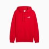 Bluza z kapturem Essentials Men z małym logo Bluza z kapturem Essentials Men z małym logo