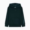 Bluza z kapturem Essentials Satin Little Kids z polaru Bluza z kapturem Essentials Satin Little Kids z polaru