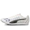Buty sportowe Evospeed szaro-czarne
