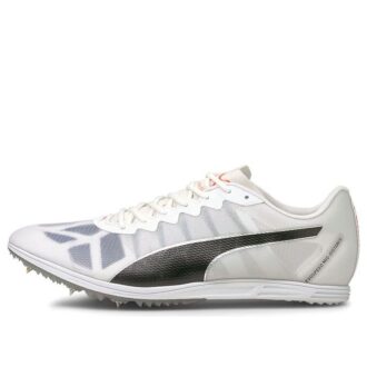 Buty sportowe Evospeed szaro-czarne