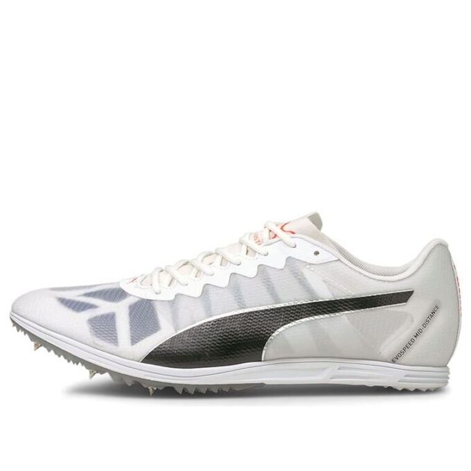 Buty sportowe Evospeed szaro-czarne