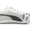 Buty sportowe Evospeed szaro-czarne