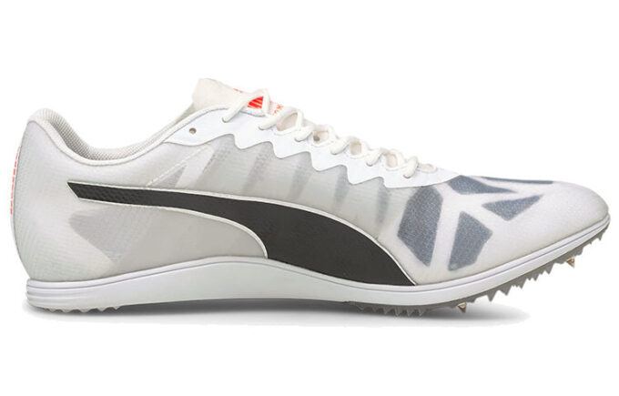 Buty sportowe Evospeed szaro-czarne