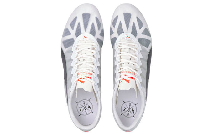 Buty sportowe Evospeed szaro-czarne