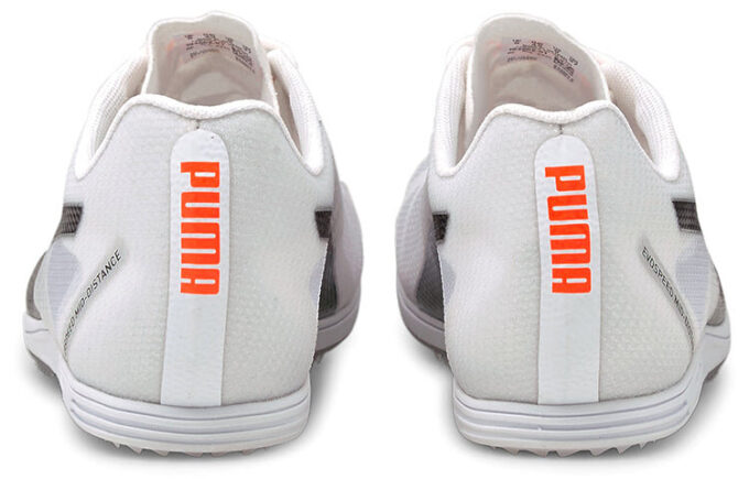 Buty sportowe Evospeed szaro-czarne