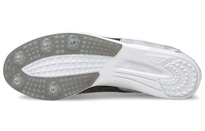 Buty sportowe Evospeed szaro-czarne