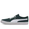 C-Skate Vulc „Zielone Wzgórze”