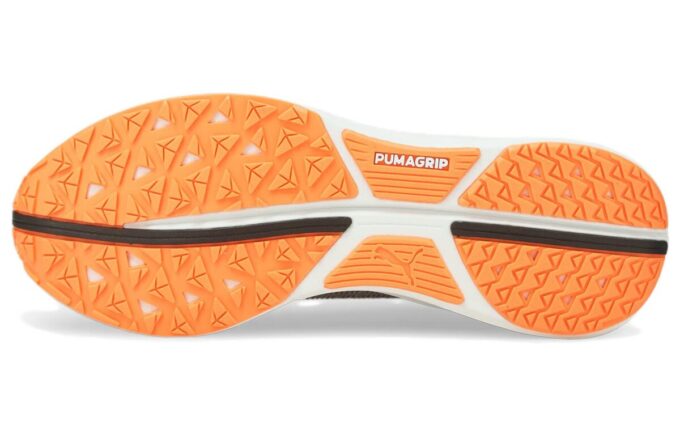 Electrify Nitro „Harbor Mist Neon Citrus”