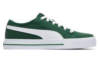 Ever Fs Cv „Zielony”