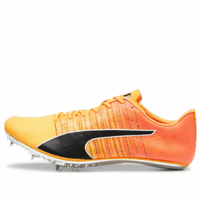 evoSpeed  Brush 6 „Sun Stream Black”