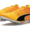 evoSpeed  Brush 6 „Sun Stream Black”
