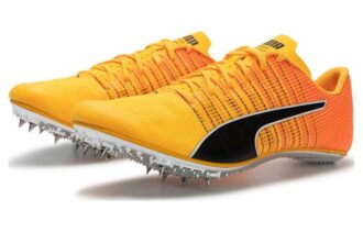 evoSpeed  Brush 6 „Sun Stream Black”