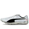 evoSPEED Electric 10 „Szary”