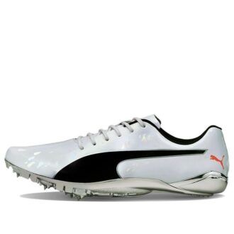 evoSPEED Electric 10 „Szary”