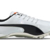evoSPEED Electric 10 „Szary”
