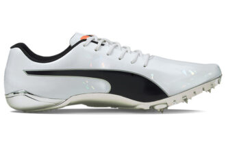 evoSPEED Electric 10 „Szary”