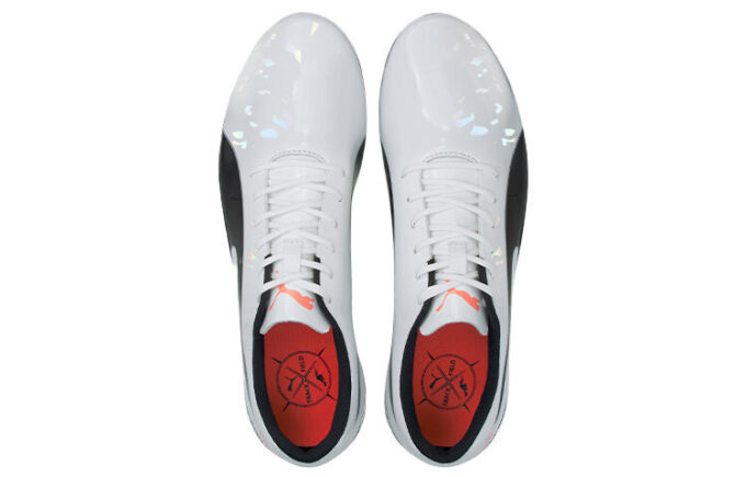 evoSPEED Electric 10 „Szary”