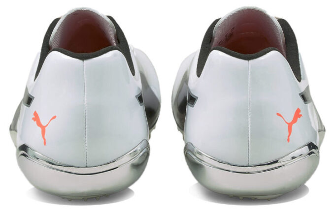 evoSPEED Electric 10 „Szary”