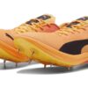 EvoSpeed  Nitro Elite 2 „Sun Stream Sunset Glow”