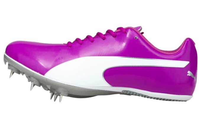evoSpeed  Sprint 10 „Głęboka biel orchidei”