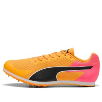 evoSPEED Star 9 „Sun Stream”