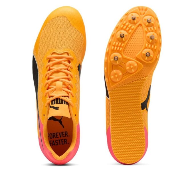evoSPEED Star 9 „Sun Stream”