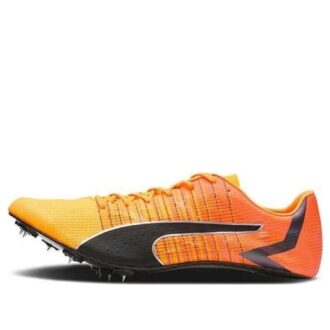 evoSpeed  Tokyo Future Faster „Sun Stream Sunset Glow”