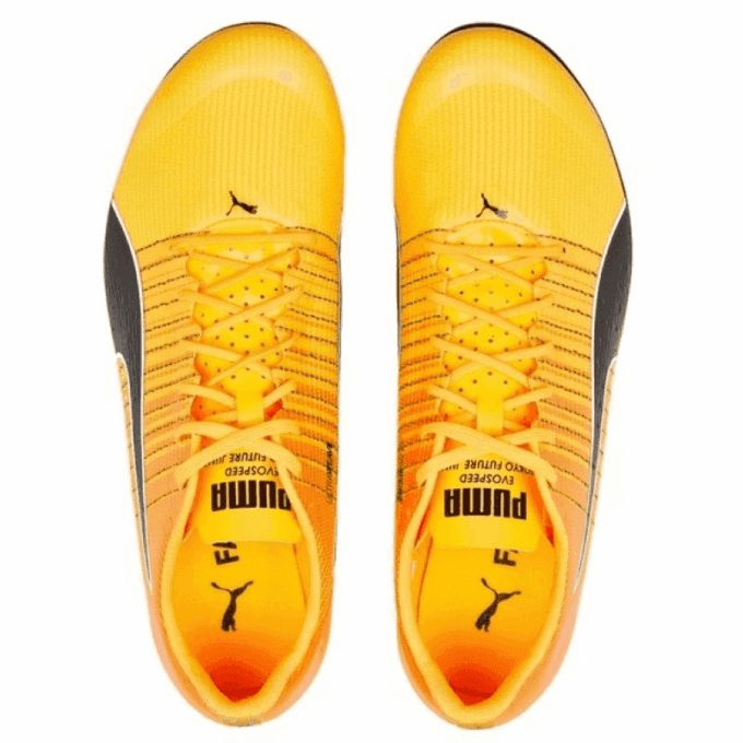 evoSpeed  Tokyo Future Faster „Sun Stream Sunset Glow”
