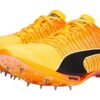 evoSPEED Tokyo Nitro „Sun Stream”