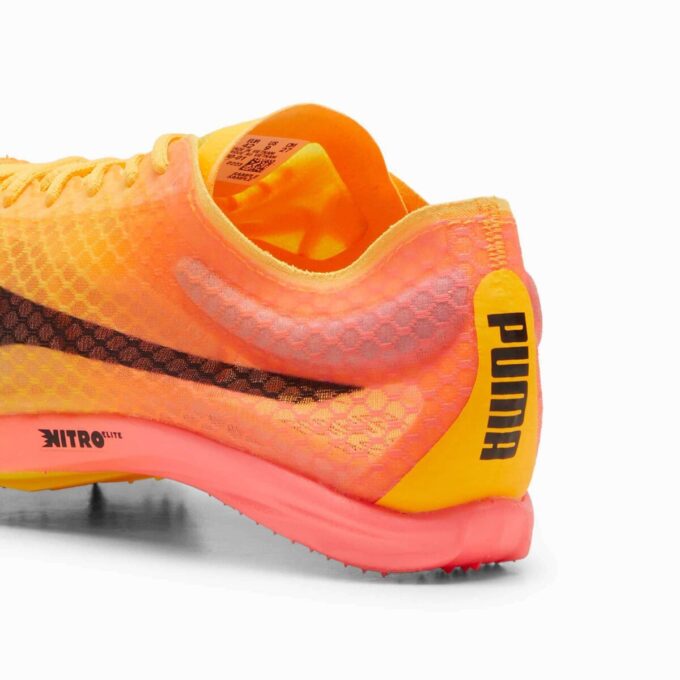 Kolce do biegania na dystans evoSPEED Distance NITRO™ Elite+ 4 Men Track & Field Kolce do biegania na dystans evoSPEED Distance NITRO™ Elite+ 4 Men Track & Field