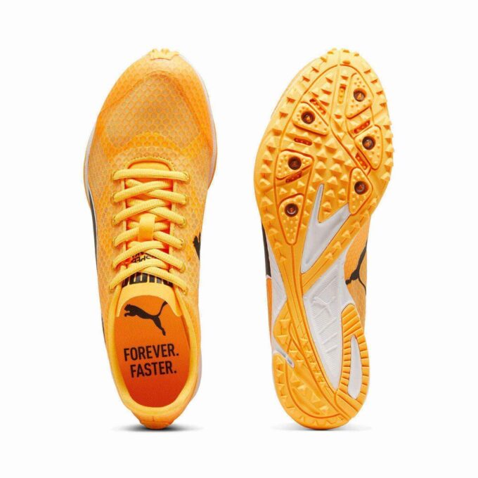 Kolce dystansowe evoSPEED Haraka 8 Track & Field Kolce dystansowe evoSPEED Haraka 8 Track & Field