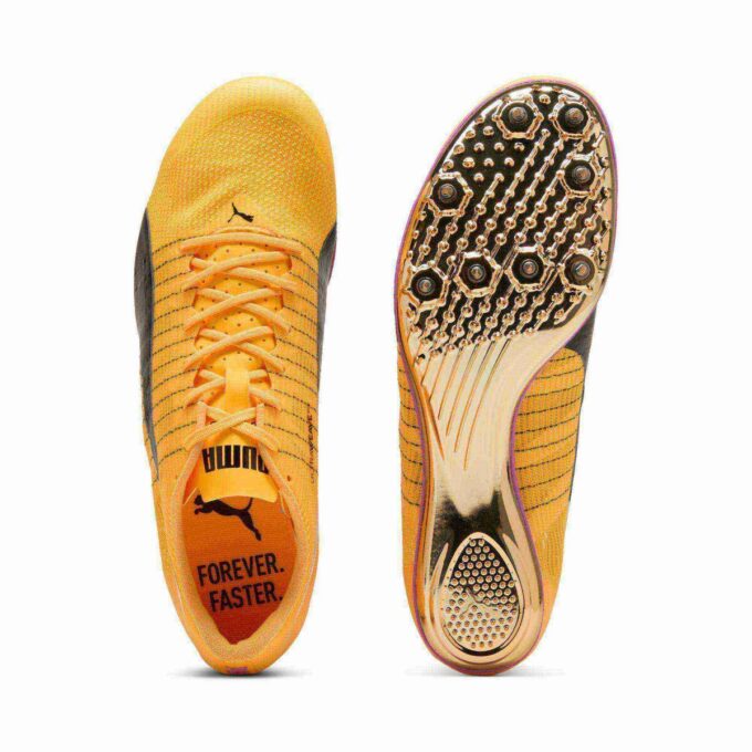Kolce sprinterskie evoSPEED Brush 6 do biegania Kolce sprinterskie evoSPEED Brush 6 do biegania