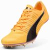 Kolce sprinterskie evoSPEED Brush 6 do biegania Kolce sprinterskie evoSPEED Brush 6 do biegania