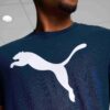 Koszulka Essentials Big Cat Men Koszulka Essentials Big Cat Men